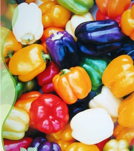 6 Colors Mixed Bell Pepper, Sweet Pepper, Capsicum, 100pcs/pack