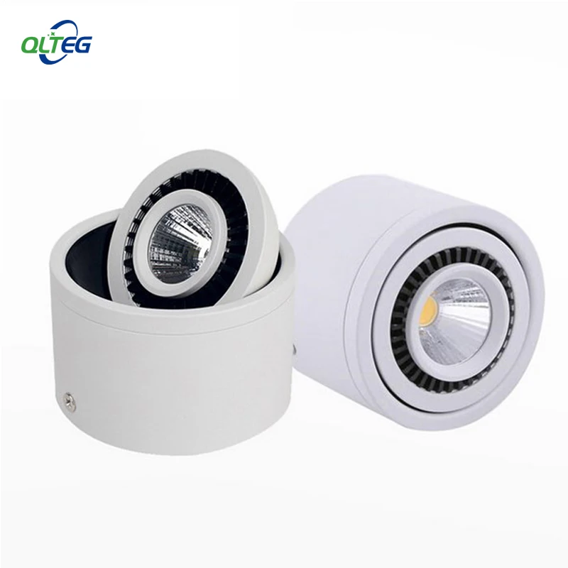 QL1001-1