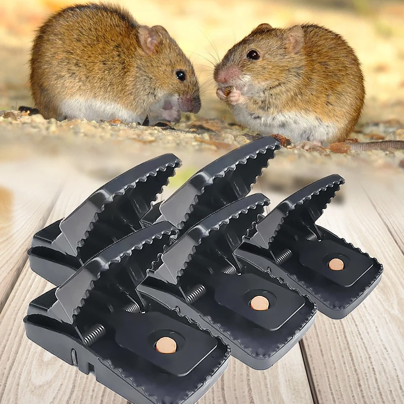 2019 Black Rat Trap Effective Tools Mice Catcher for Mousetrap Drop Shipping | Дом и сад