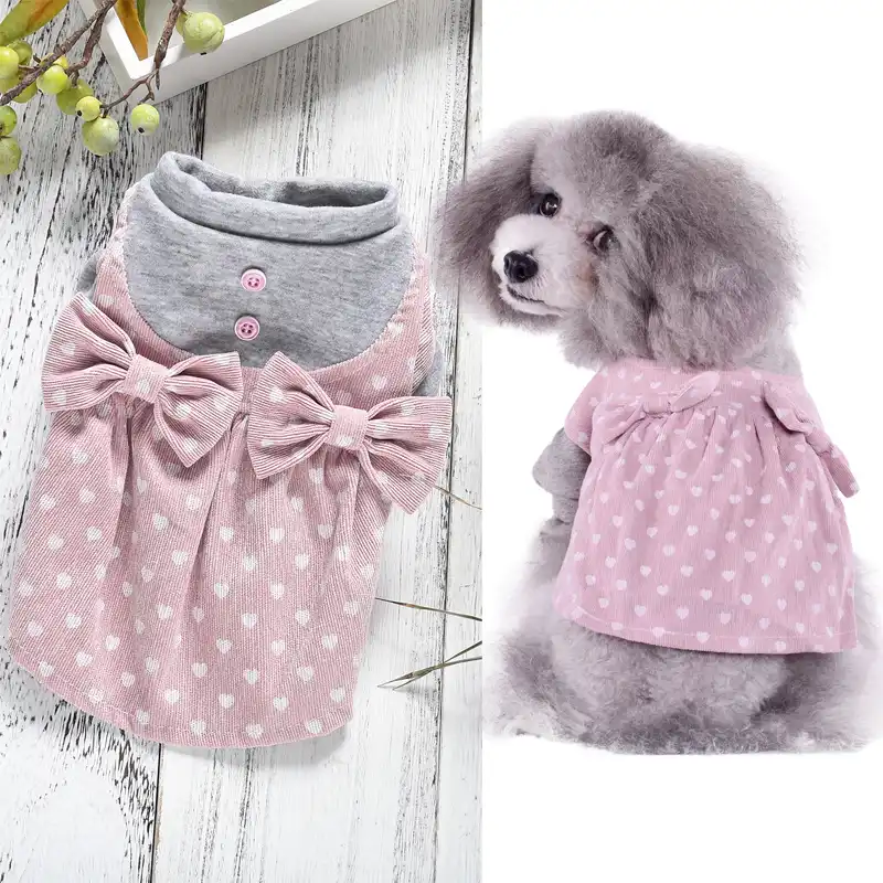 xxl dog clothes shop