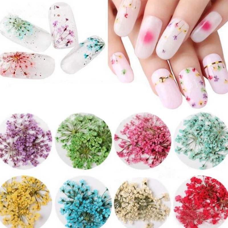 

12 Colors Real Nail Dried Flowers Nail Art Decoration DIY Tips Manicure Decal