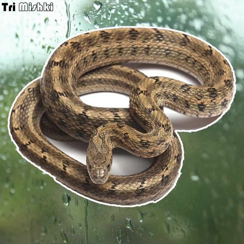 Tri Mishki WCS054 15x12 см со змеиным рисунком забавная наклейка для автомобилей красочные