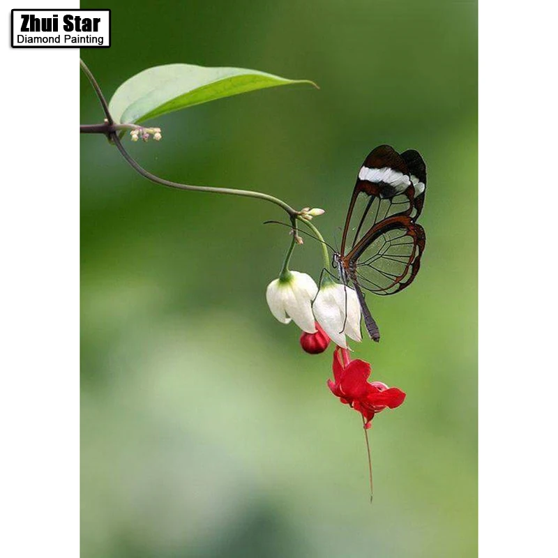 

5D DIY Diamond mosaic diamond embroidery Butterfly and white flowers embroidered Cross Stitch Home decoration Gift