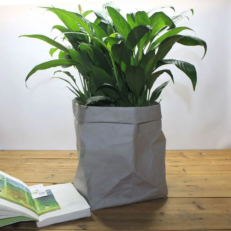 

Premium Quality Flowerpot Creative Desktop Organizer Case Reusable Multifunction Home Kraft Paper Storage Bag