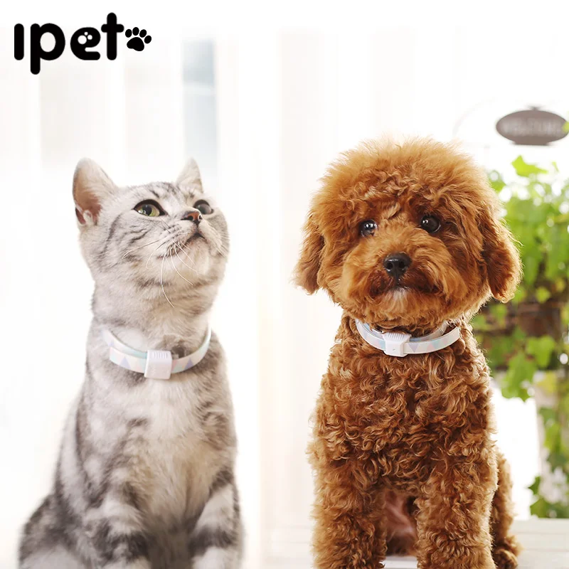HOOPET Pet Dog Collar Deworming Sterilization Aroma Fragrance Cat