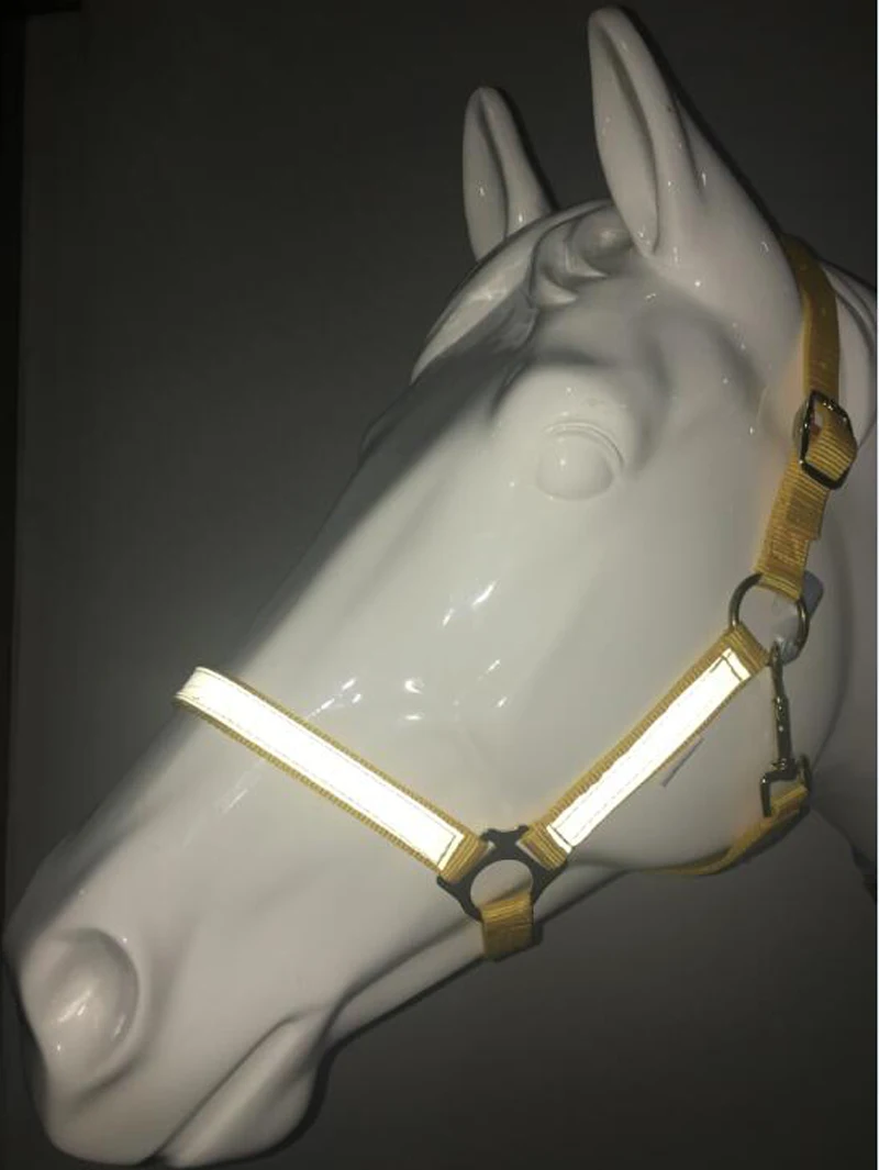 New Arrival Horse Riding Equipment Horse Halter Metal Eyelet Horse Riding Equestrian For A Horse Equestrianism Accessories