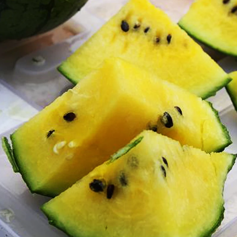 Balcony Plants Virgo bonsai bonsaied Watermelon bonsai Plant Species Easy To High - Yield 10pcs Balcony Plants Virgo bonsai bonsaied Watermelon bonsai Plant Species Easy To High - Yield 10pcs