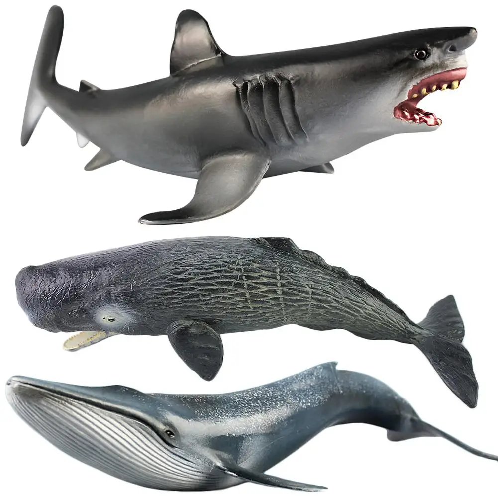  Large ocean sealife animals Emulational Blue Whale Sperm Whale Shark Animal Model toy kids learning toy children gift
