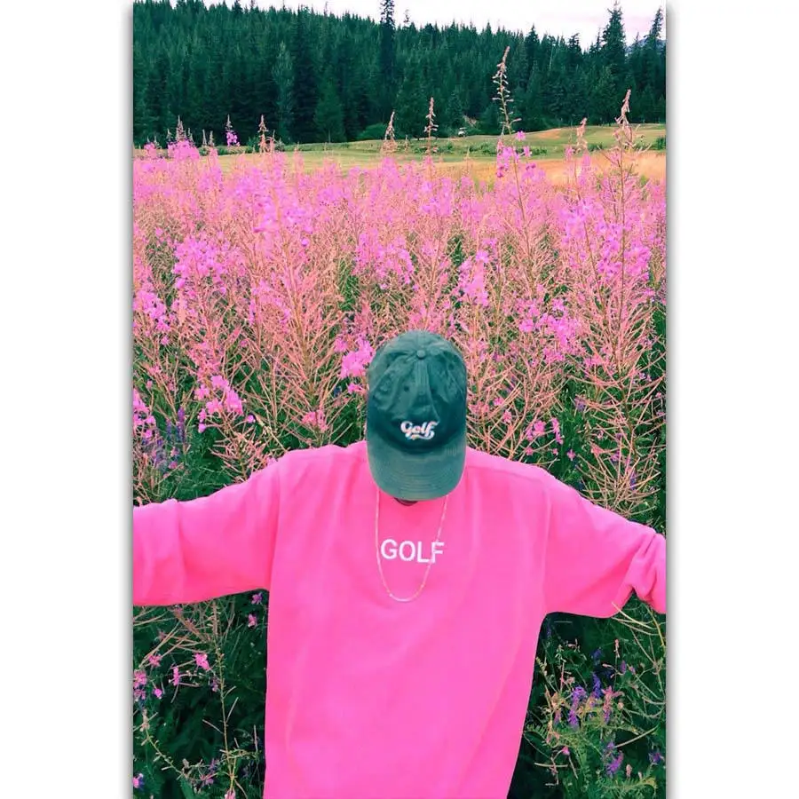 

S829 Tyler The Creator Rap Music Singer Rapper Star Wall Art Painting Print On Silk Canvas Poster Home Decoration