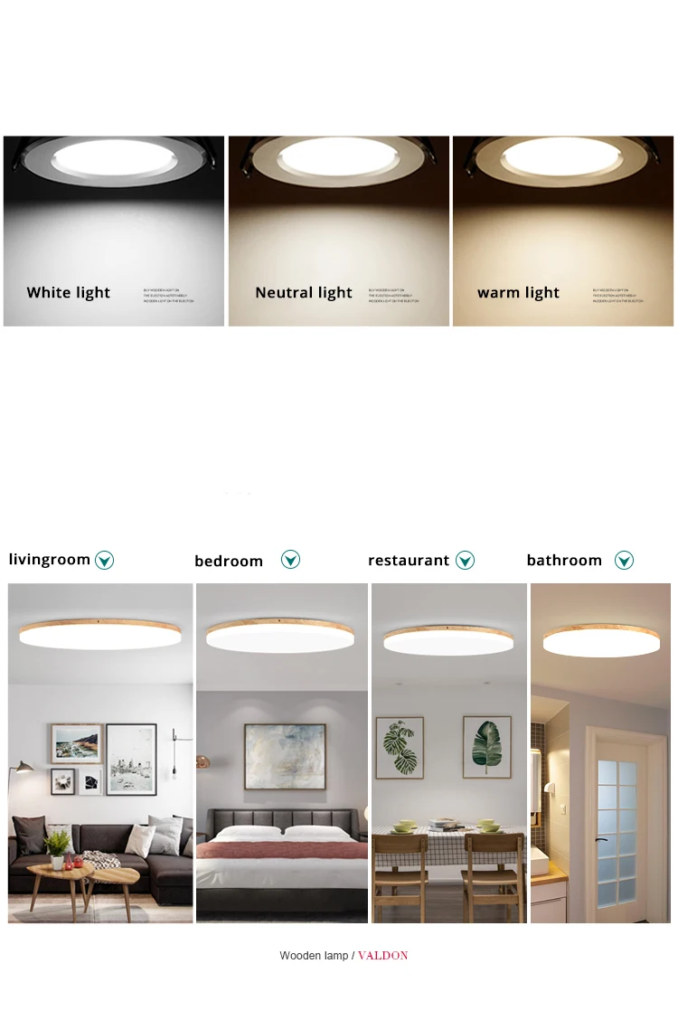 led ceiling light (3)