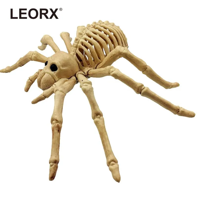 Скелет паука настоящего. Скелет паука биология. Упоротый скелет паук. Паук какой скелет. Паук какой скелет.