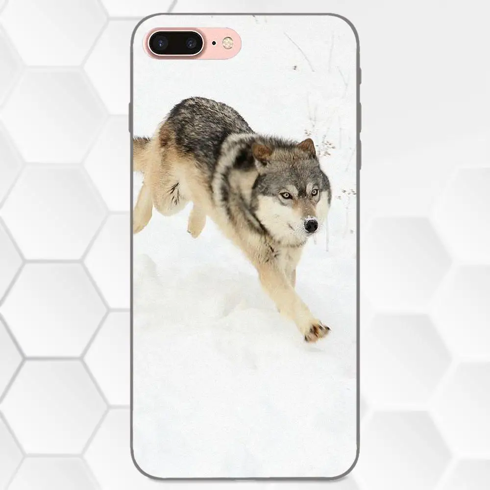 Оболочка Чехол для телефона Apple iPhone 4 4S 5 5S SE 6 6S 7 8 Plus X XS Max XR Wolf Running|Бамперы| |