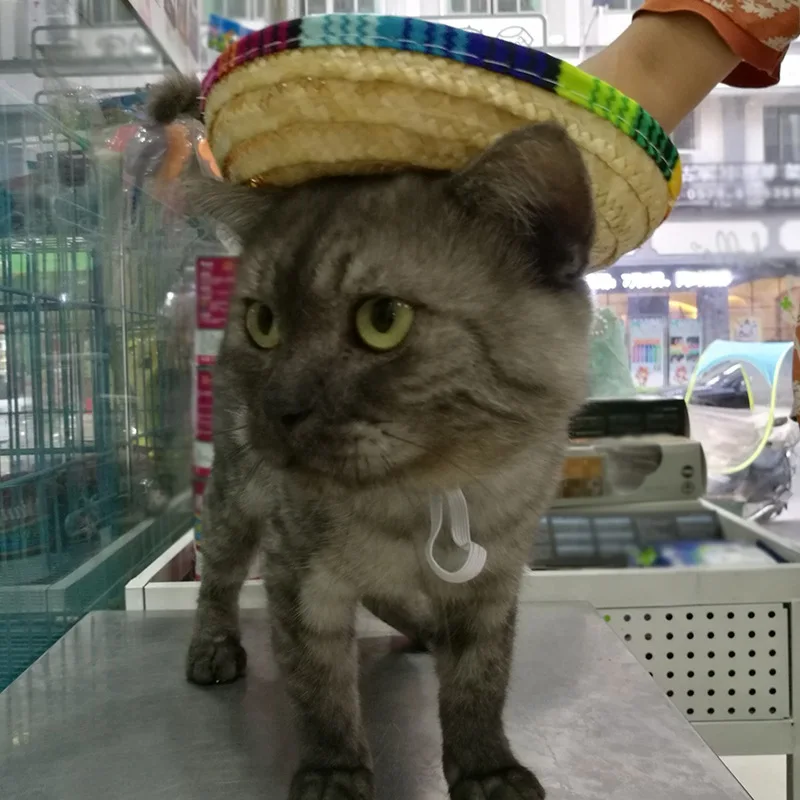 Мини соломенная шляпа для домашних животных Sombrero Cat от солнца пляжные вечерние