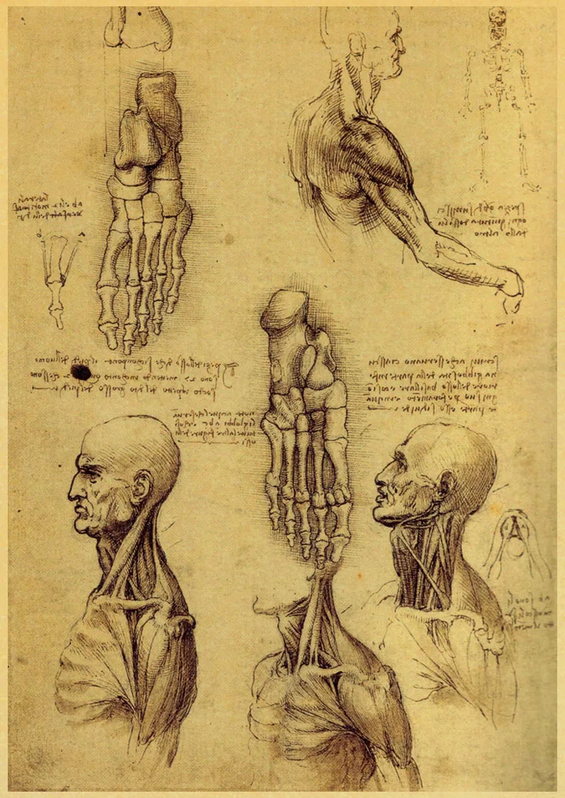 Leonardo рукопись да Винчи Витрувианский человек ностальгические плакаты ретро декоративная напечатанная картина ядро крафт Бумага наклейки на стену
