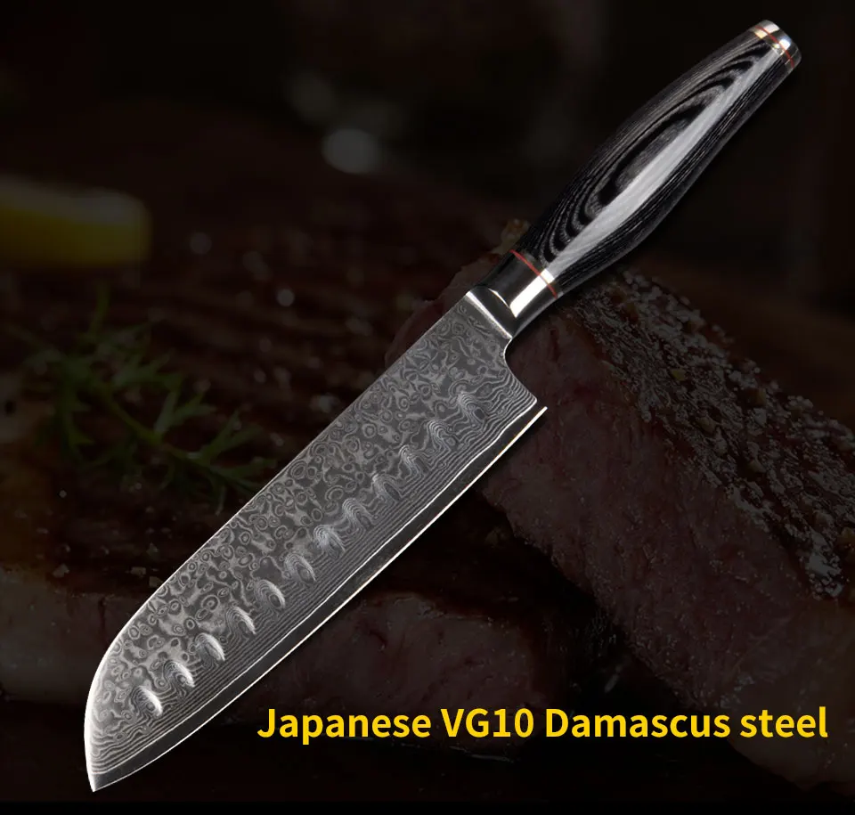 Japan damasco VG10 steel (14)