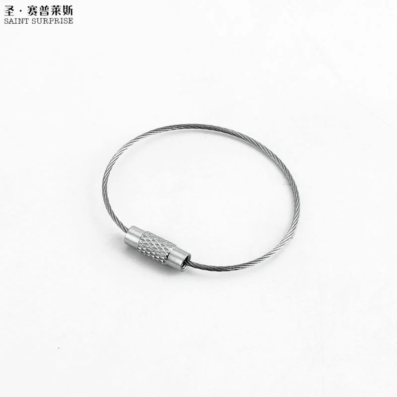 10Pcs Screw Locking Stainless Steel Wire Keychain Cable Rope Key Holder Keyring Key Chain Rings Cable Outdoor Hiking Keychains (6)