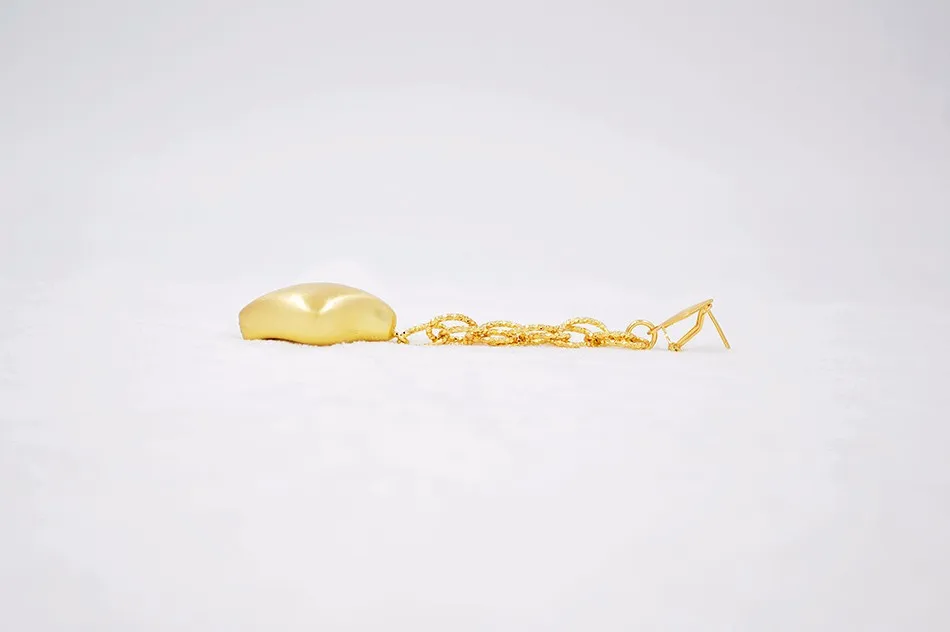 earrings (2)