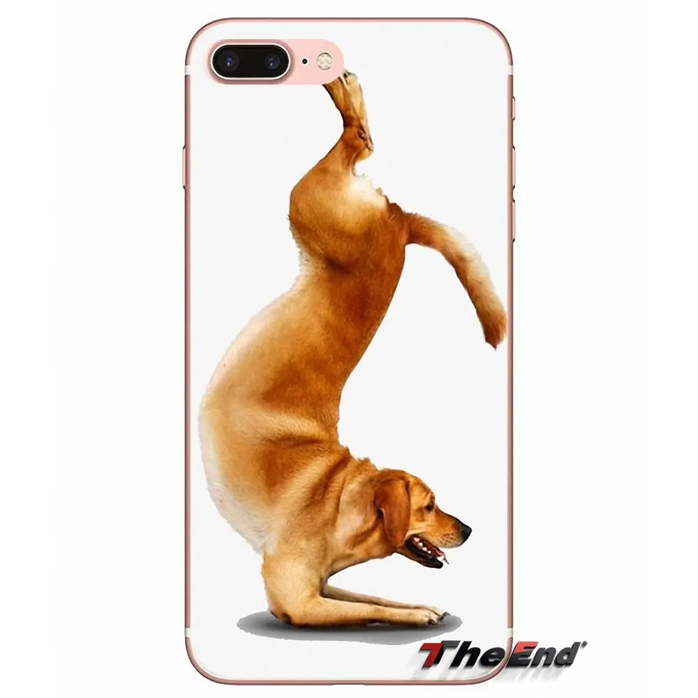 Мягкий чехол для мобильного телефона Yoga Cats dogs Apple iPhone X 4 4S 5 5S SE 5C 6 6S 7 8 Plus 6Plus 7plus plus