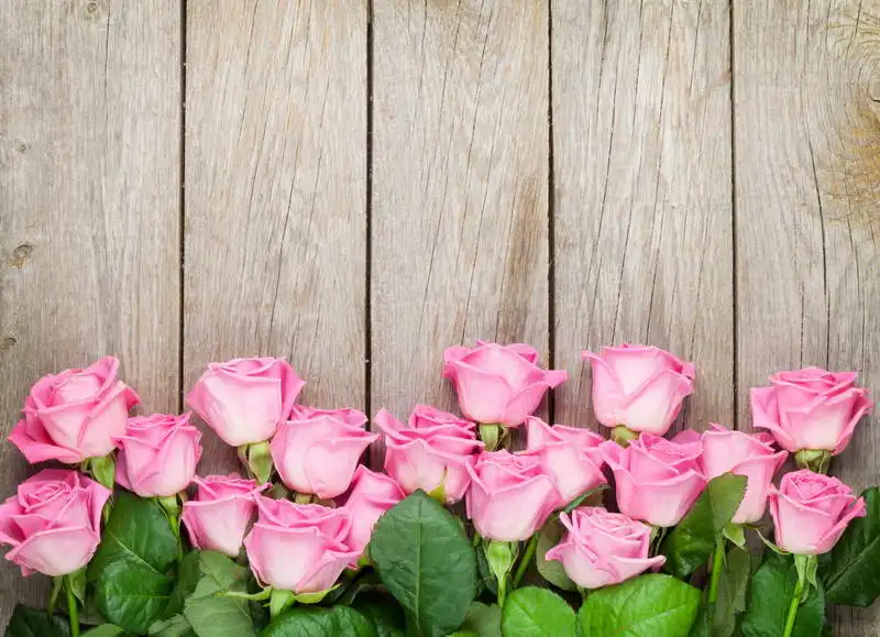 photo shoot background 10x20ft Pink Flowers Photography Backdrops ...