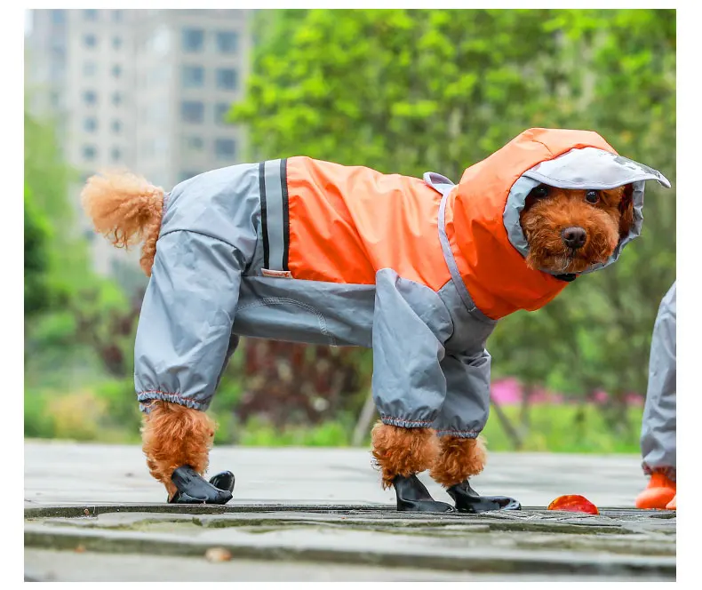 Köpek Tulum Yağmurluk