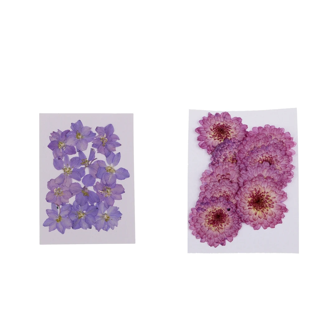 22 Pieces Purple Daisy and Larkspur Dried Pressed Flowers Handmade Real Flowers Case for Phone Decoration DIY