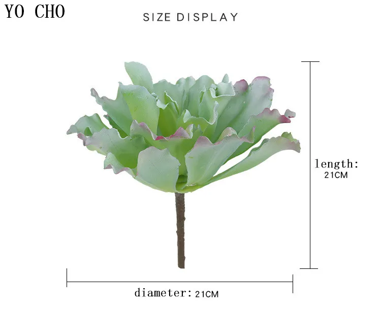 Simulation meaty plants 6