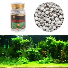 buy fresh water aquarium
