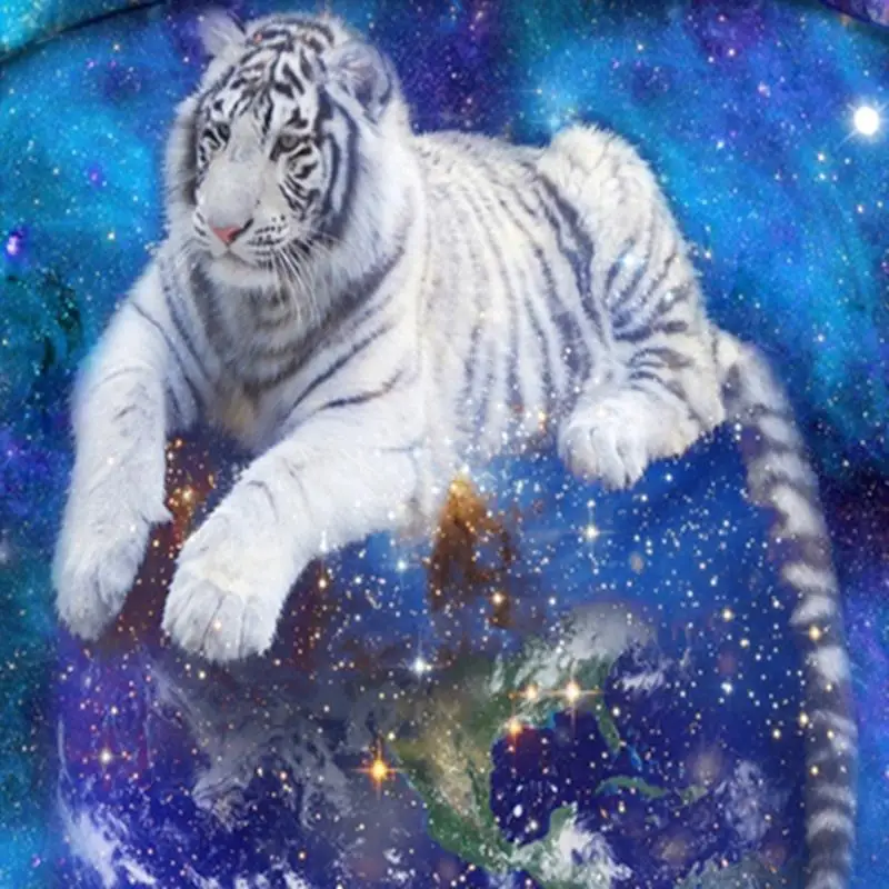 3D Printed Bedding Set King Comforter Set Bedding Queen Duvet Cover Sets