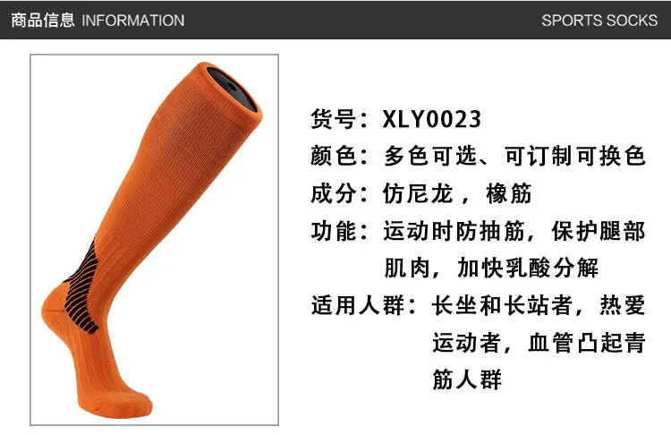 XLY0023_06