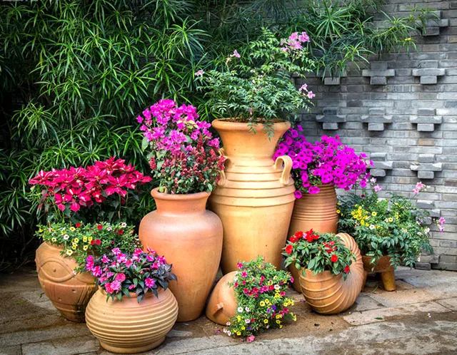 200 szt rzadkie żywe kamienie mix Lithops Bonsai kwitnący kwiat soczysty Cactus Organic Garden luzem Bonsai dla domu ogród tanie i dobre opinie Bardzo proste Wykluczone Strzelec Konserwy roślin Wieloletnich Courtyard Subtropikalnych Soczyste rośliny Rośliny ogrodowe 200 szt rzadkie żywe kamienie mix Lithops Bonsai kwitnący kwiat soczysty Cactus Organic Garden luzem Bonsai dla domu ogród tanie i dobre opinie Bardzo proste Wykluczone Strzelec Konserwy roślin Wieloletnich Courtyard Subtropikalnych Soczyste rośliny Rośliny ogrodowe