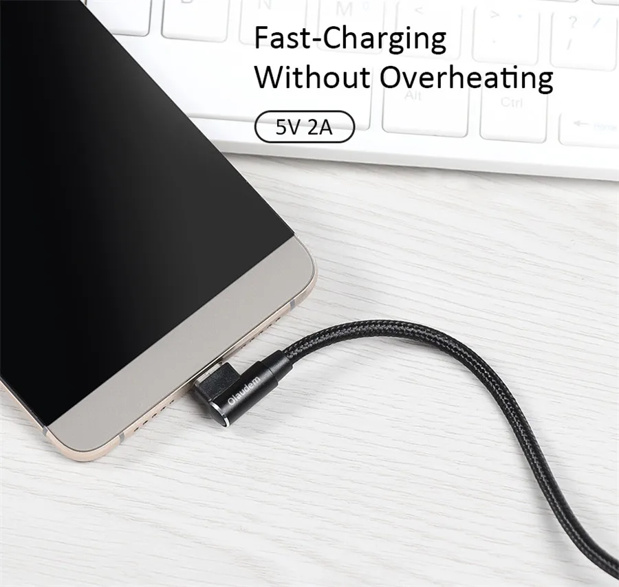 USB Type C Cord (2)