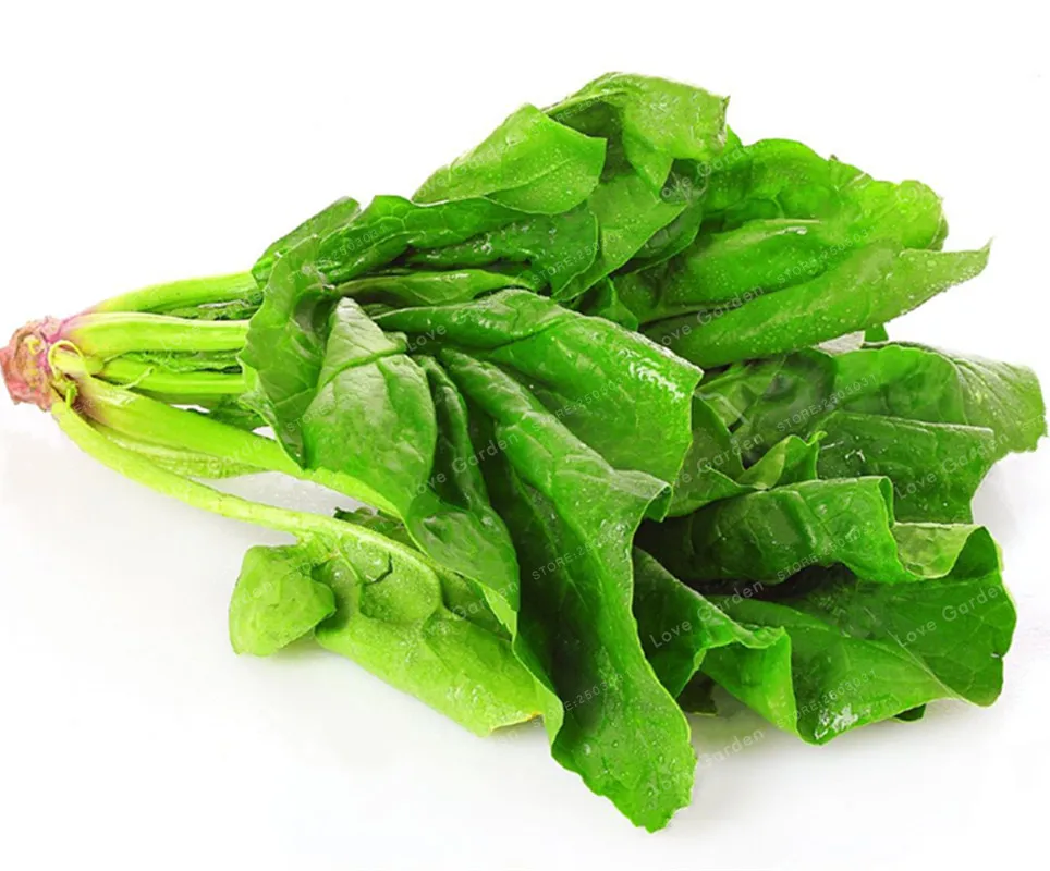 

50Pcs Spinach Bonsai Round Leaf Nutrition And Health Food Four Seasons Sowing Vegetables Plant For Home Garden Easy To Grow