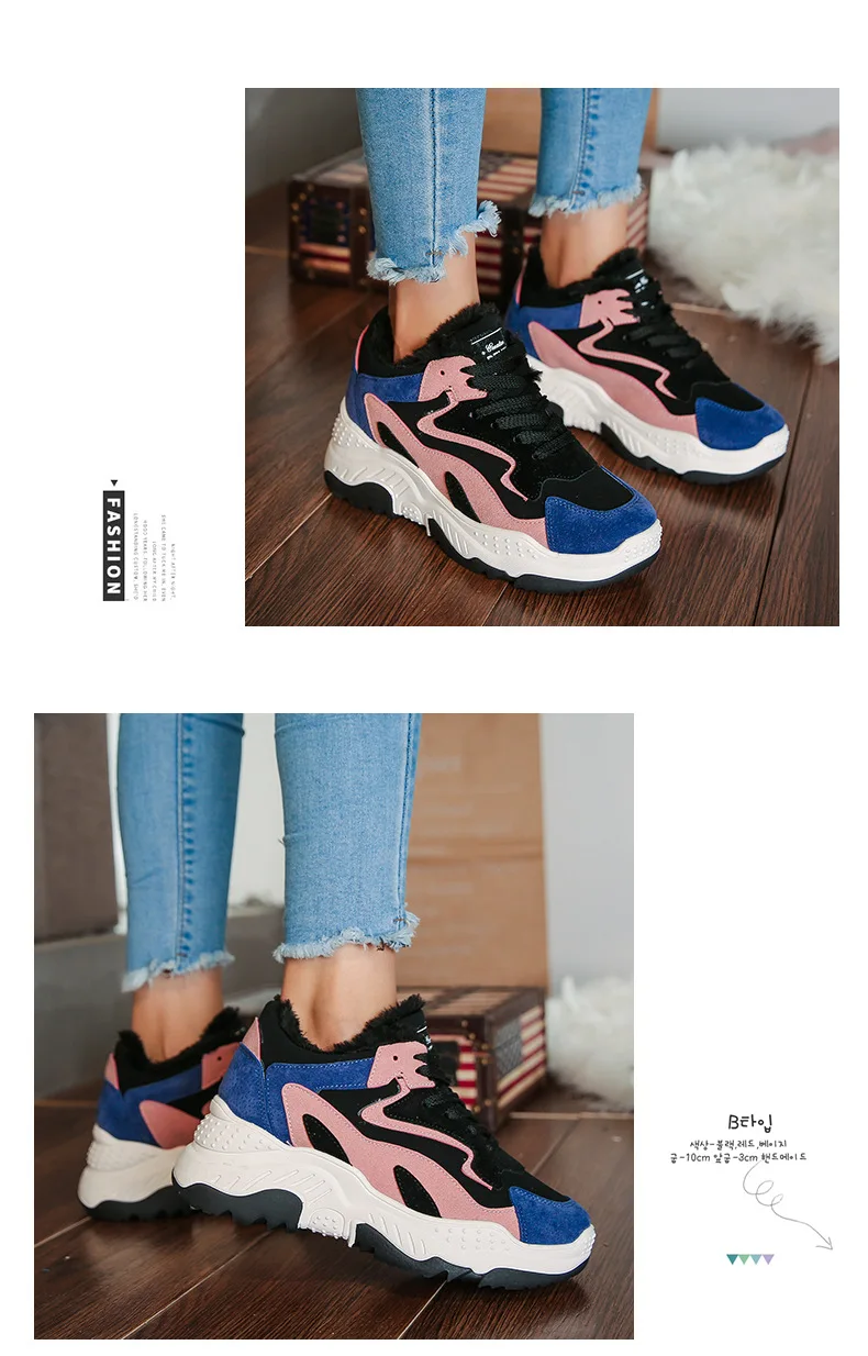 ZL- (6).jpg