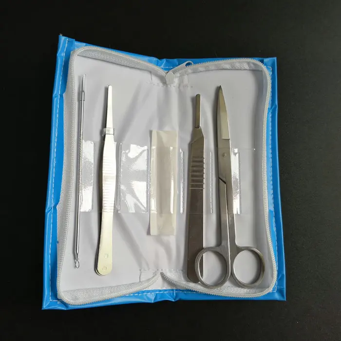 4pcs/Set Stainless Steel Dissecting Animal Dissection Kit taxidermy Set