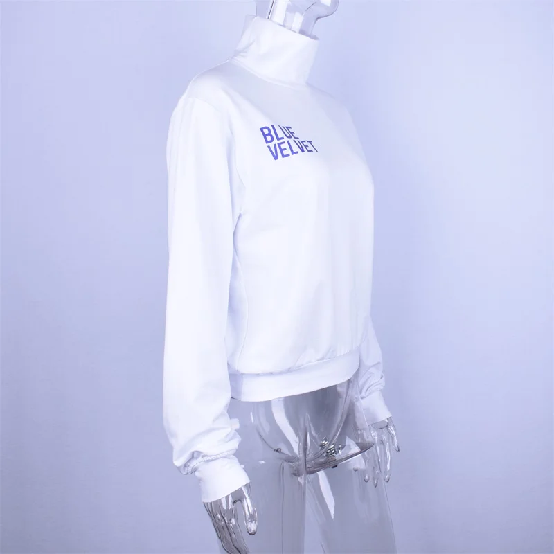 Hugcitar long sleeve cotton high neck letters print t shirt tops 2018 autumn winter women fashion new casual loose T-shirts