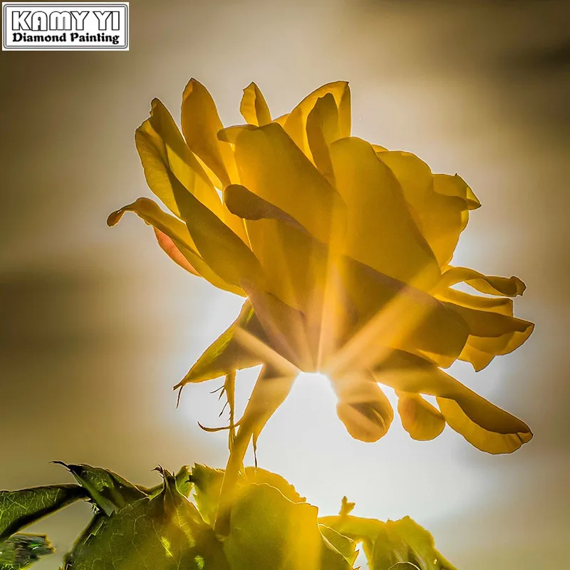 

5D DIY Diamond Painting Born to the sun Square Diamond drill Embroidery Cross Stitch Rhinestone Mosaic Painting Home Decor Gift