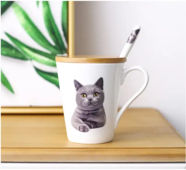 2019 New British Shorthair Cat Ceramics Mugs Cute Animal Cups