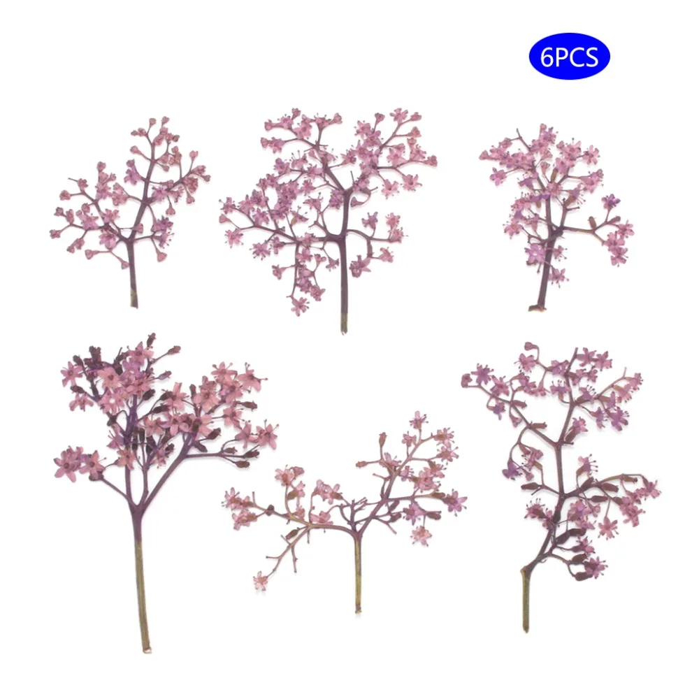 2SS304246-PL