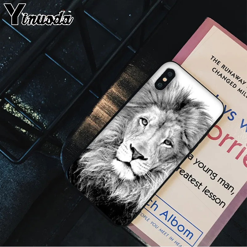 Animals The lion
