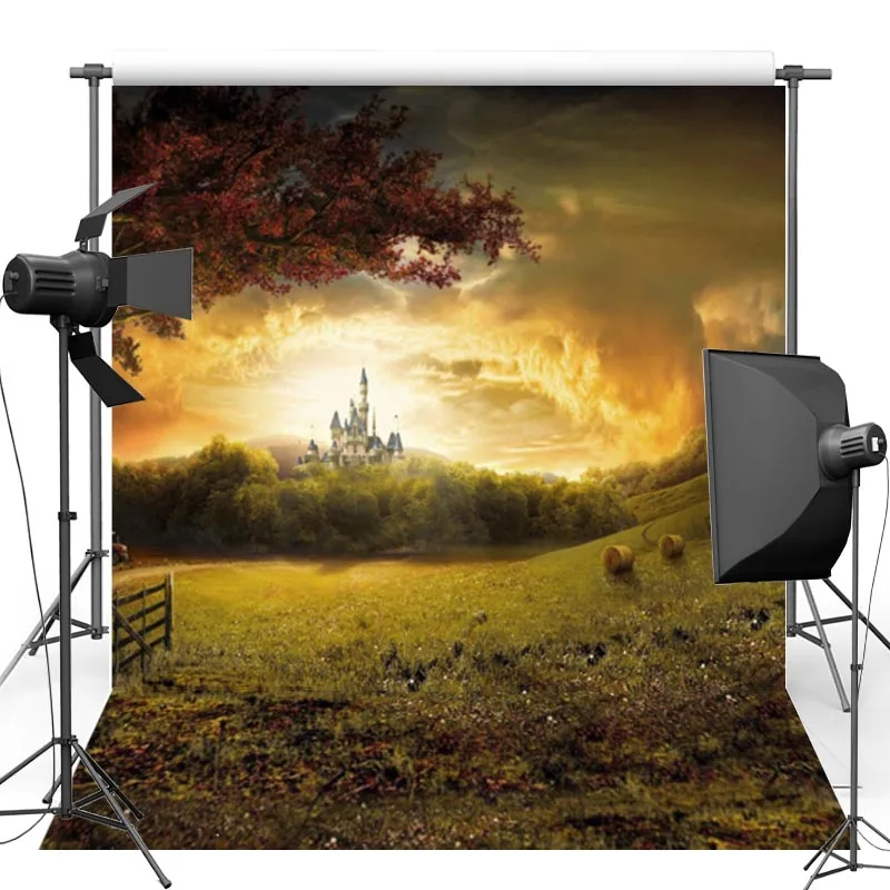 Vinyl Backdrops For Photography Cinderella Castle Scenic Forest Oxford Photo Background For studio Wedding Lover