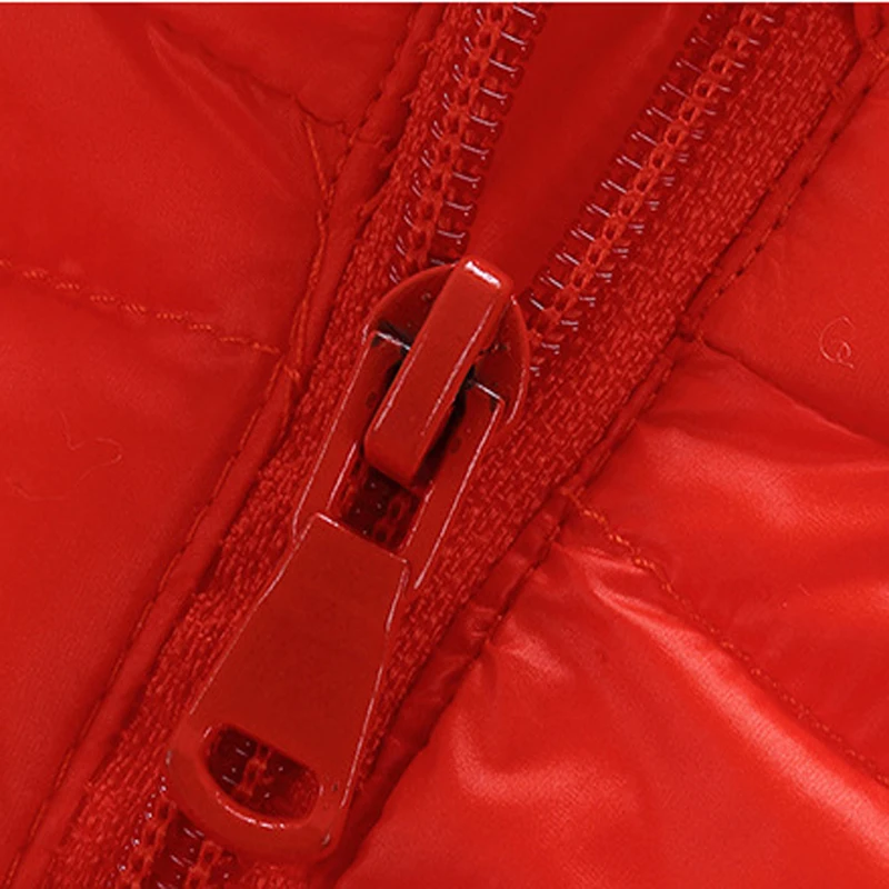 VEST (19)