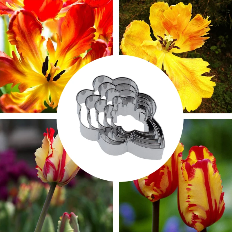 

5pcs New Stainless Steel Clay Cutter Parrot Tulip Leaf Mold for Making Flower Model Klei Arcilla Polimerica Polymer Clay Tools