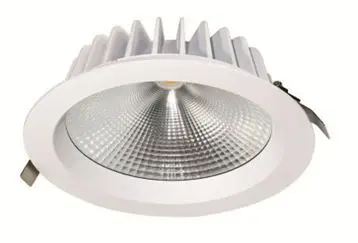 

Free Shipping Dimmable Ip54 24w 60degree Led Down Light With Bridgeluxcob Cutout 165mm Ac100-240v Warmwhite Coldwhite Wholesales