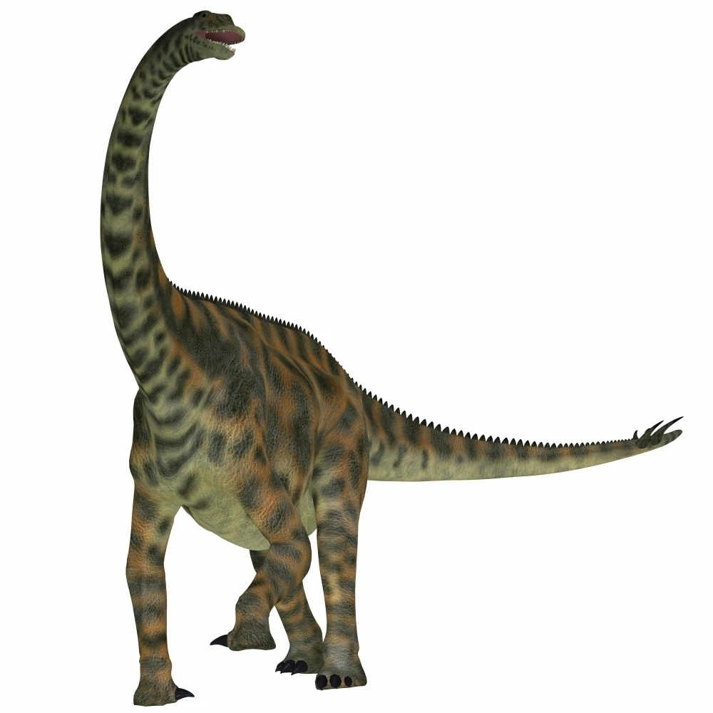 Spinophorosaurus is a sauropod dinosaur from the Jurassic Period Poster Print (14 x 14)