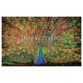 

5D Diy Diamond Painting,Cross Stitch,Full Diamond Embroidery,Birds,Animals,peacock,3D,Diamond Mosaic,Rhinestones,Needlework