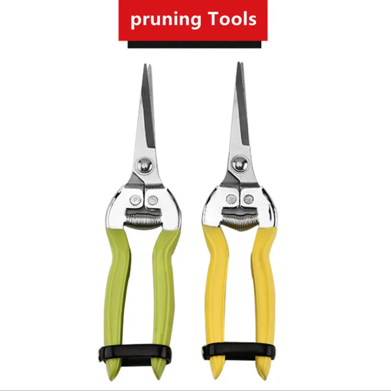 

20cm High quality professional stainless steel pointed orchard picking fruit shears picking fruit grape pruning Tools