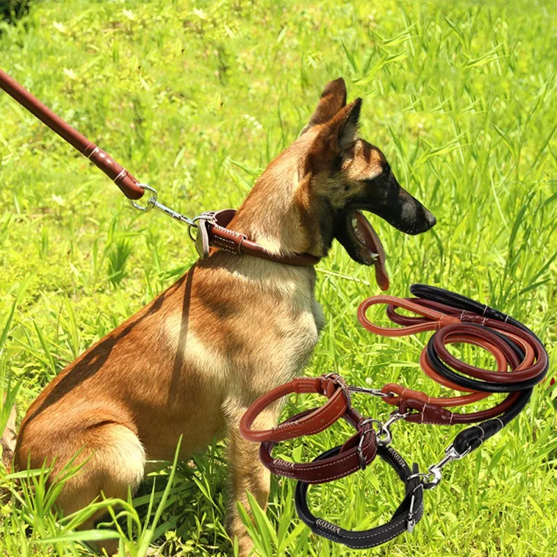 

2019 High Quality Genuine PU Leather Large dogs Traction rope dog collar pet Traction belt round belt Collar Set For Big Dogs