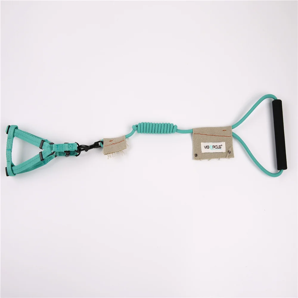 dog leash and harness 3