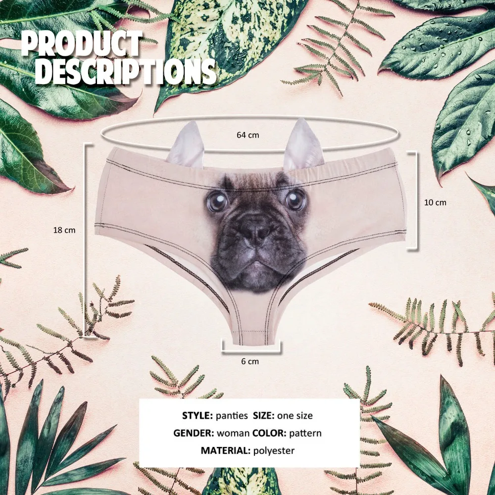 41069 french bulldog (0)