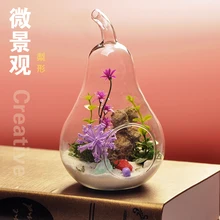 Европейская креативная микроскопическая прозрачная стеклянная гидропонная ваза растительные цветы, мода для дома